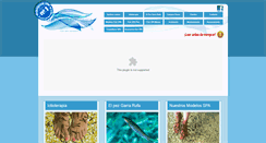Desktop Screenshot of garrarufaexperience.com